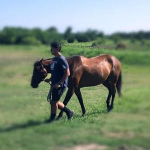 Meet your Posher, Jack